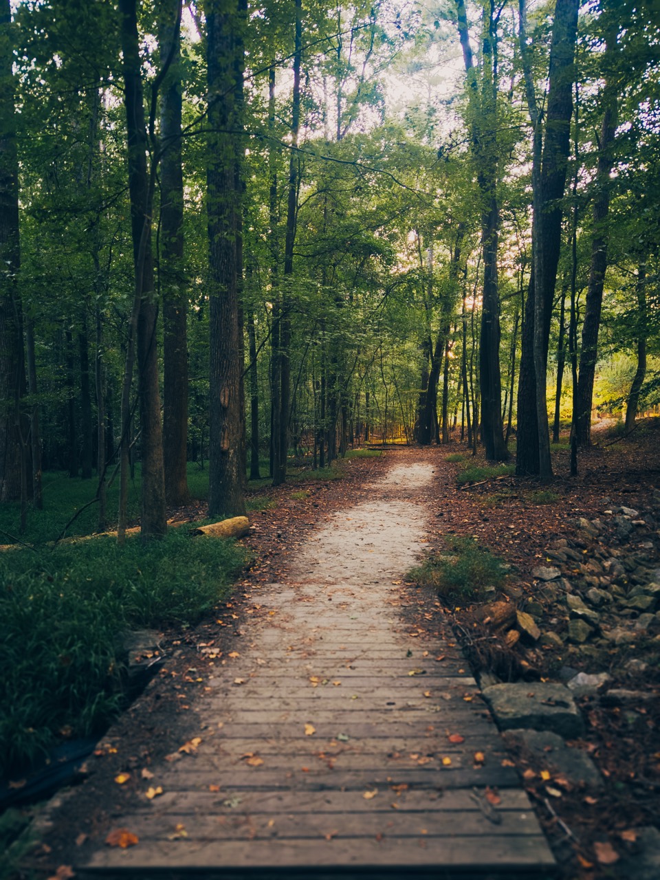 A wooden footbridge leads onto a sunlit forest trail at Stone Mountain, Georgia.
